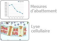 img_droite_eau_resultats_bacteries_1