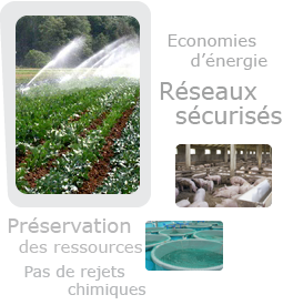 img_droite_metiers_agriculture